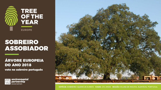 Concurso "Tree of the Year" 2018 - vote no Sobreiro Português