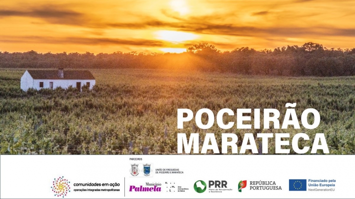 Promoção da economia circular junto das adegas e agroindústrias