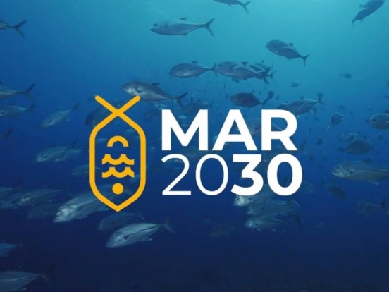 ADREPES lança novo concurso do MAR 2030