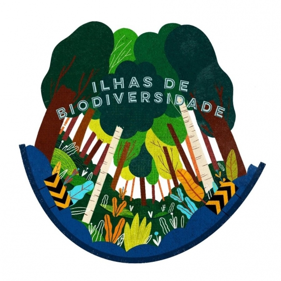 Lisnave e Escola Sebastião da Gama juntam-se para plantar Ilha de Biodiversidade
