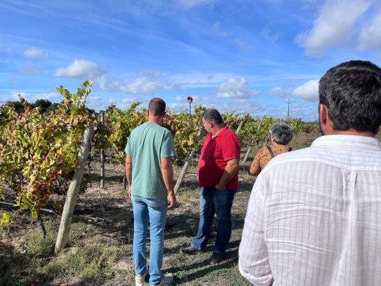 Visita à Companhia das Lezírias mostra boas práticas de economia circular no setor vitivinícola
