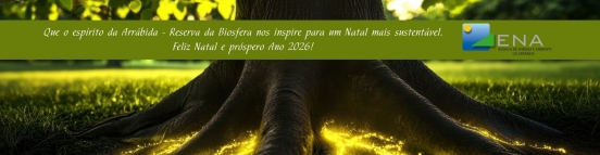 FELIZ NATAL 2025